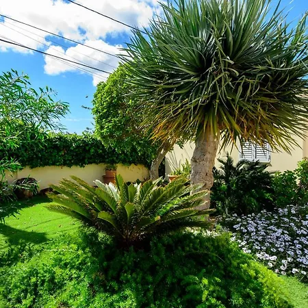 Next To Playa Bossa Villa *